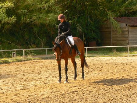 Balthazar IV